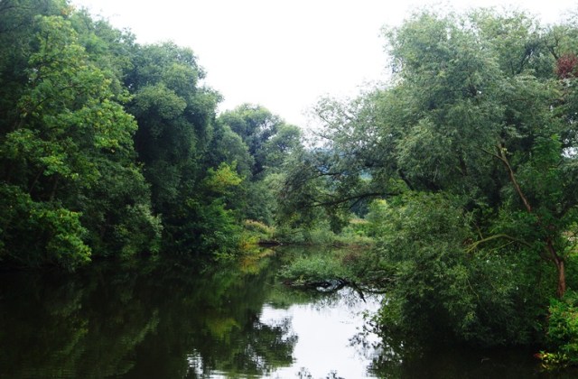 Saale River, Jena, Germany, River View