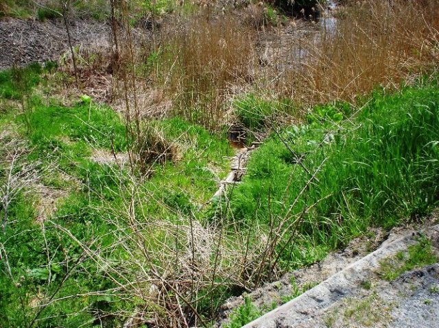 Joseph Jenks, Blacksmith, Saugus Iron Works, Inventor