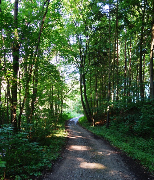 Red Trail, Jena, Germany, Thuringia, Country side