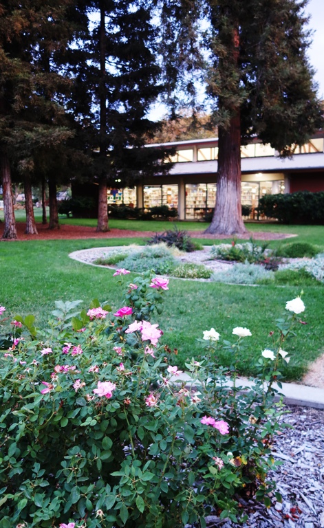 Tracy Library, Flower Gardens, Rose Gardens, Nature