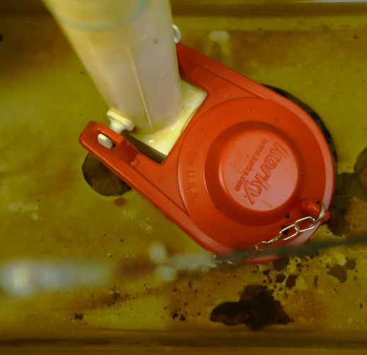 Toilet Flapper, Toilet Repair, Plumbing