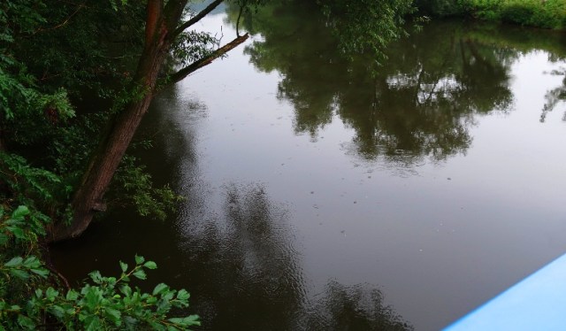 Raindrops in River, Saale River, Jena, Rainy Day