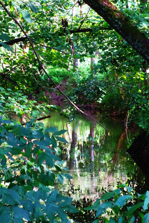 Roda River, Saale River, Jena Germany