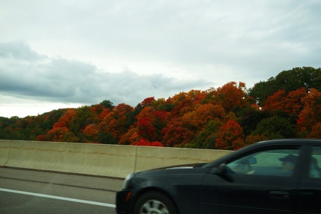 Fall Color, Commute, Colorful Commute, Toronto
