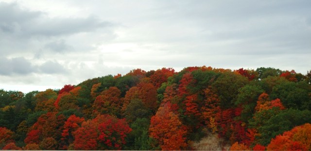 Don Valley, Don River, Toronto, Canada, Fall Color, Autumn