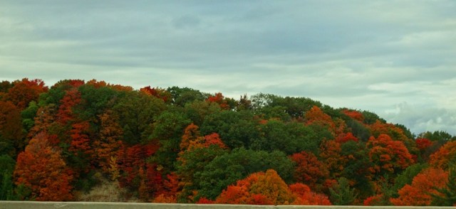 Don Valley, Don River, Fall Foliage, Autumn, Red Trees