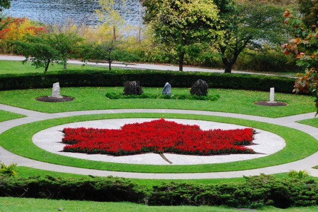 Maple Leaf, High park, Toronto, Canada, Flower Leaf