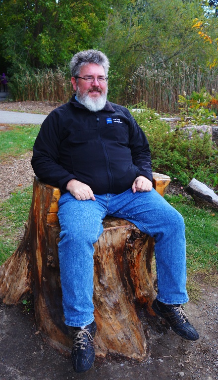 High Park, Tree Chair, Toronto, Canada
