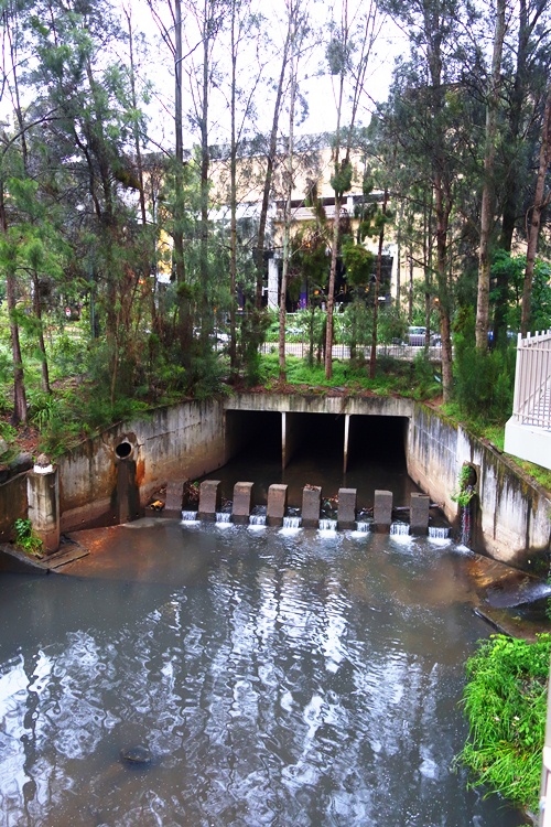 Australian Creek, Meriton, North Ryde, Macquarie Centre