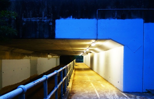 Shrimpton Creek, Underpass, Bike Path, Australia