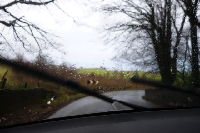 Glasgow Scotland, Rainy Day, Scotland country road