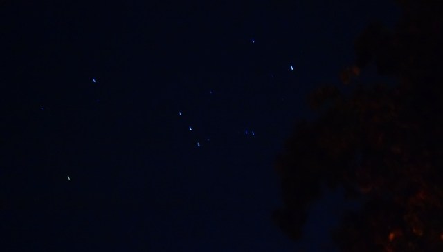 night sky, snapshot of orion, Orion, constellation, Evening Walk