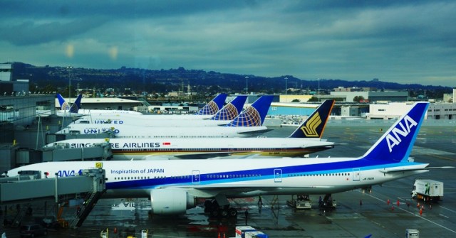 San Francisco International Airport, SFO, United Airlines, ANA, Row of Planes