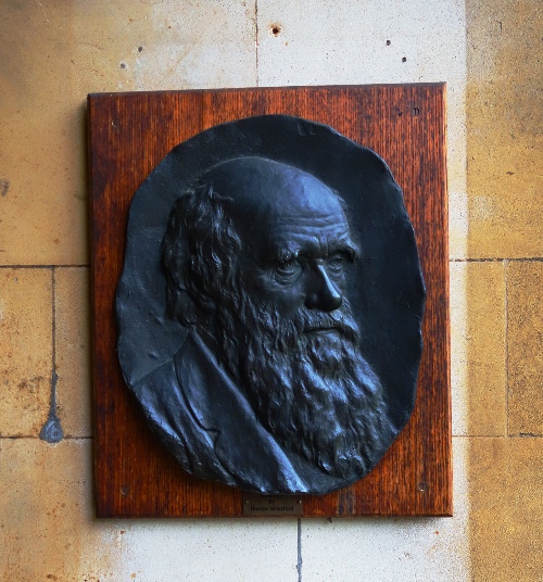 Darwin, Milton, Christ's College, Cambridge University