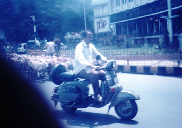 Bangalore, India, Bengalura, Goat Herd