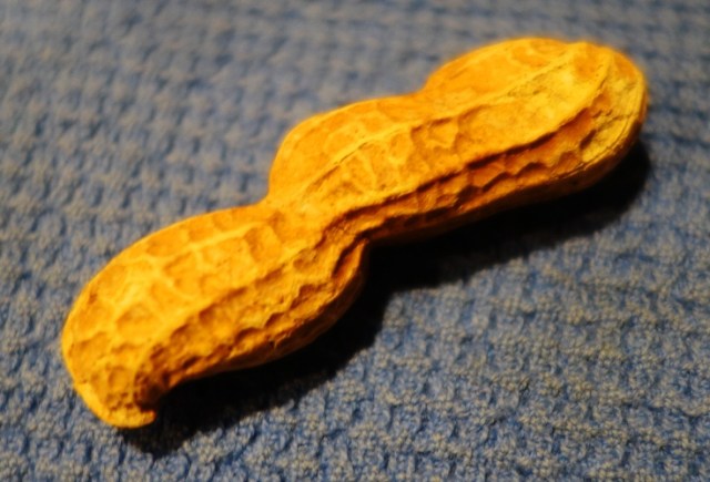 Triple Peanut, Salted Peanuts, Peanuts in the shell, baseball