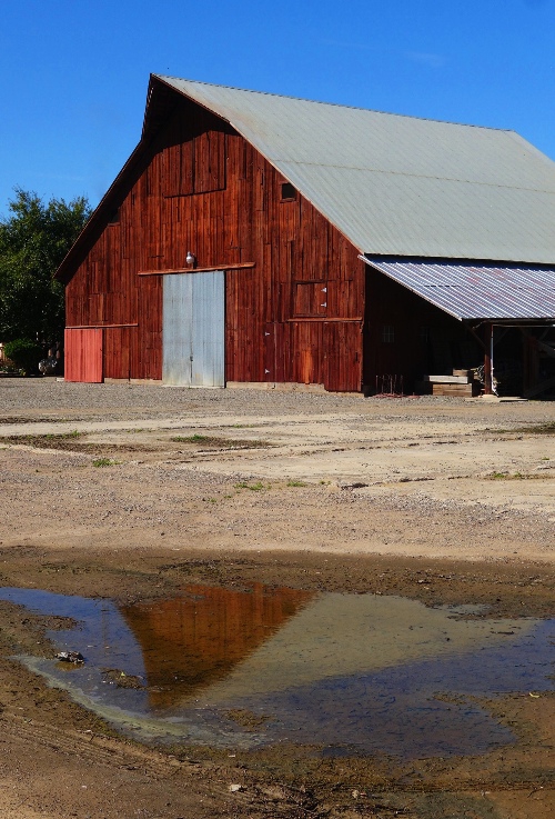 Barn Reflection, Red Barn, Reflections