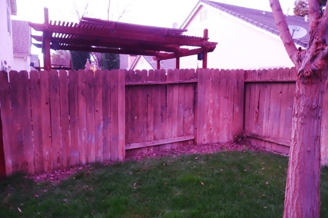 Back Yard Fence, Yard Work, Clean Up