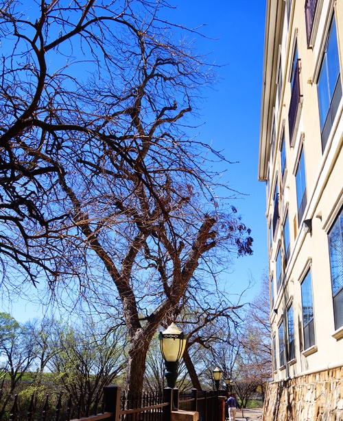 Walk to Lunch, Dallas, River Walk, Love Field, Embassy Suites