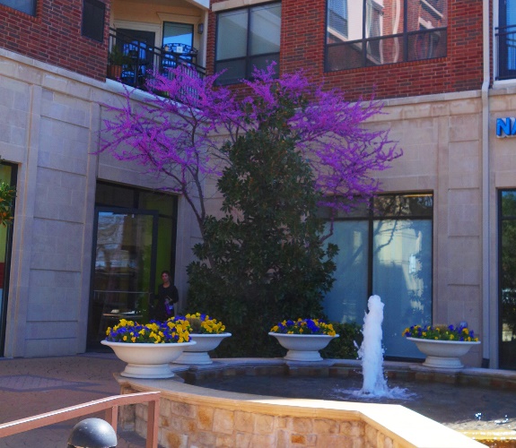 Walk to Lunch, Dallas, River Walk, Love Field, Embassy Suites