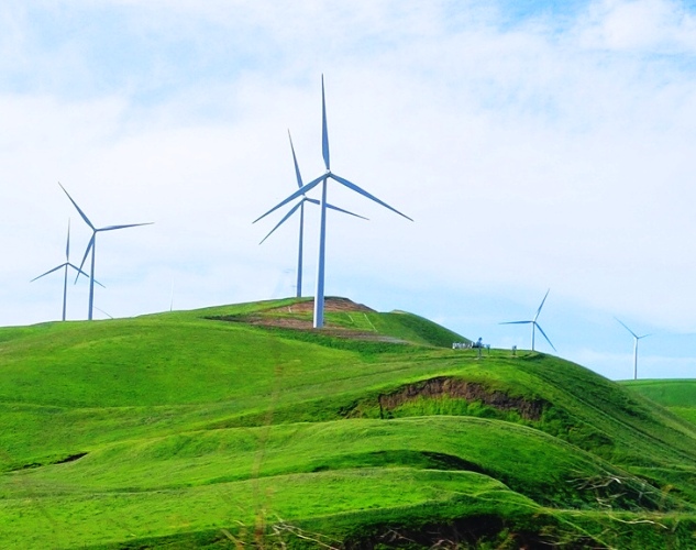 Altamont, California, Windmills, Spring Rains, Winter Rains, Green Hills
