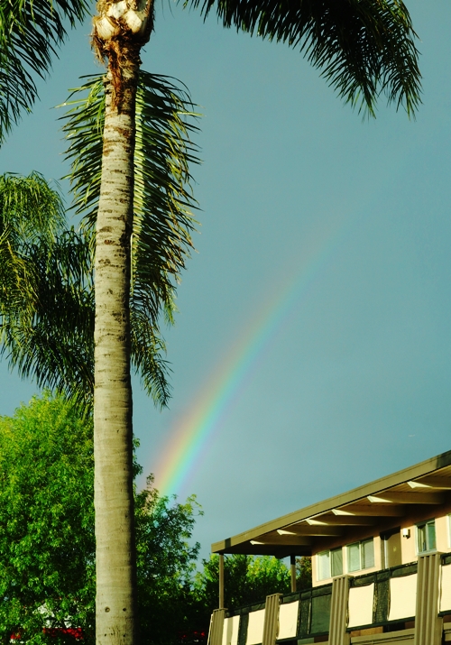 Rainbow, Rain, Bay Area, Drought Buster, California