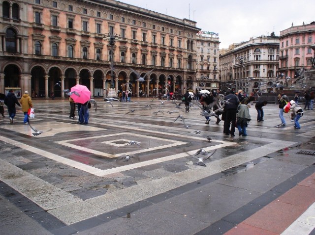 Pigeons, Milan, Duomo, public square