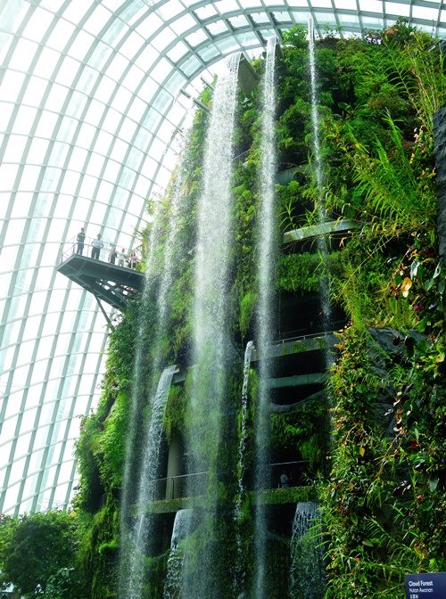 Cloud Forest, Gardens by the Bay, Singapore, Waterfalls