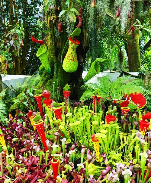 Lego Flowers, Singapore, Gardens by the Bay, Cloud Forest, Lego Flowers