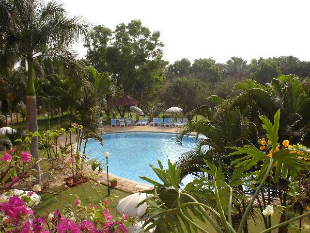 Bangalore, India, Swimming Pool, Tropical