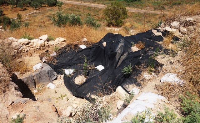 Lachish, Dig Site, Archaeology, Tel Lacish, Dig
