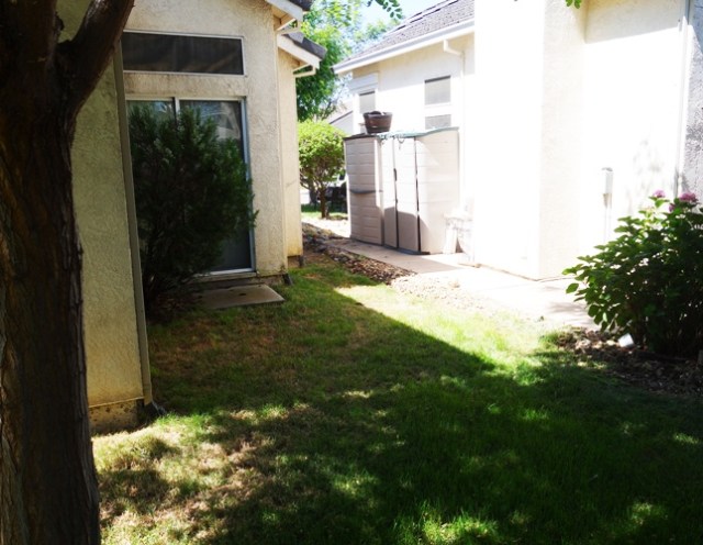 Clear View, No Fence, Fence Replacement