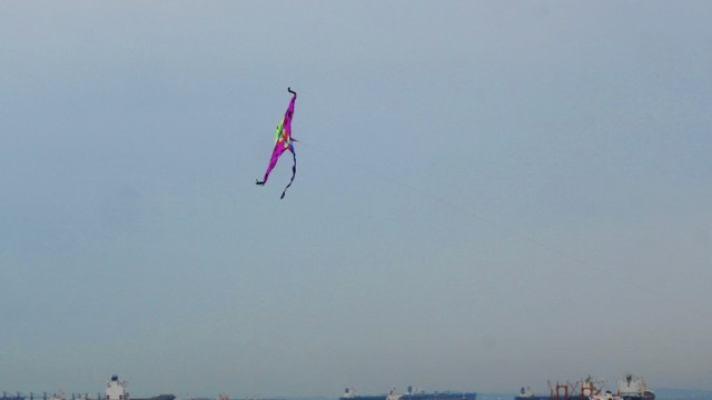 Singapore, Kite, Gardens by the Bay, Kite Flying