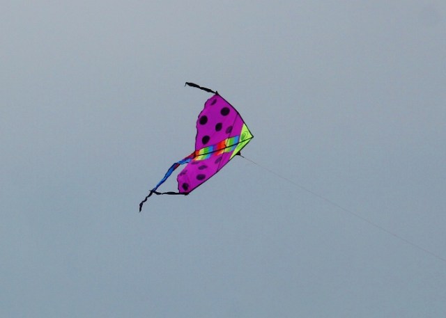Marian Barrage, Singapore, Windy Day, Sea Winds