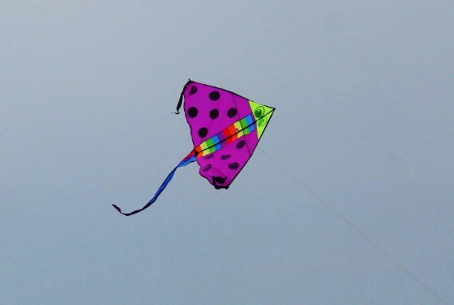 Kite Flying, Singapore, Pink Kite, polka dots