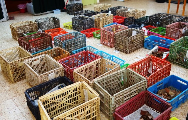 Pottery Reading, Tel Lachish, Archaeology, pottery, archaeological dig