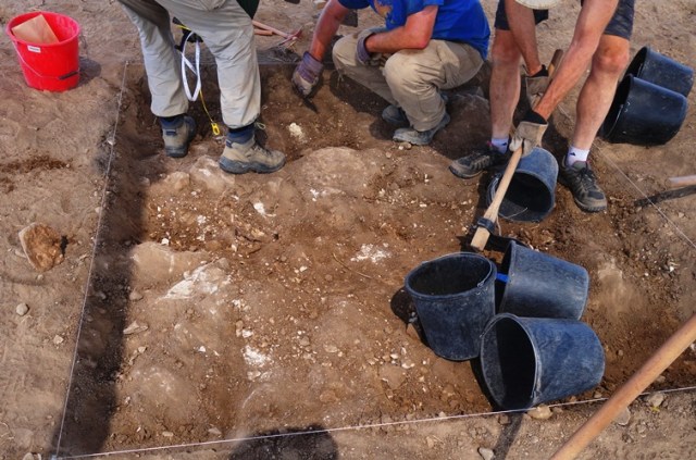 small square, survey square, topsoil survey, archaeology, tel lachish