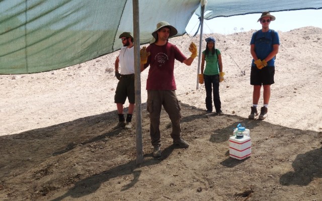 Square, Archaeology, Area supervisor, squares, dig