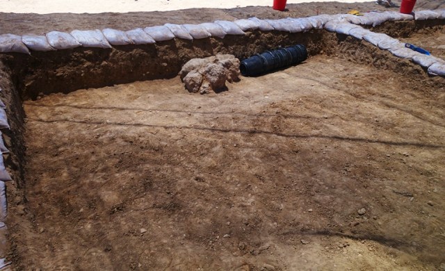 Square Day 2, Tel Lachish, Archaeology, stones