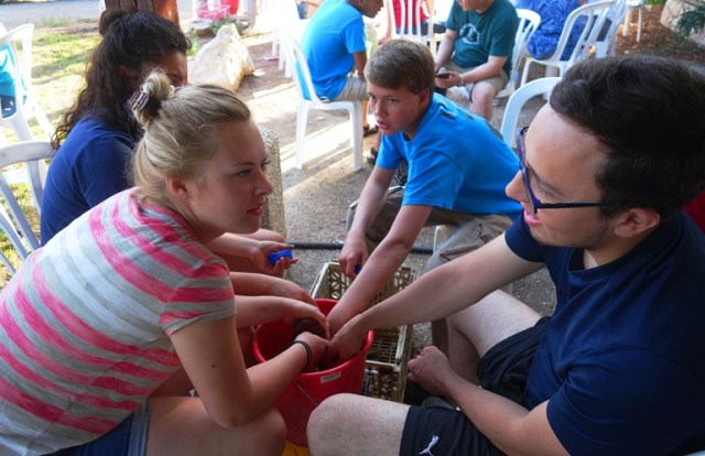 Pottery Washing, Pottery, Archaeological Dig, Pottery Reading