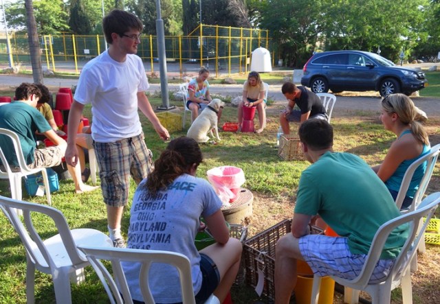 Pottery Washing, Pottery, Archaeological Dig, Pottery Reading