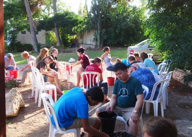 Pottery Washing, Pottery, Archaeological Dig, Pottery Reading