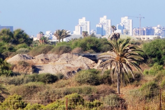 Ashkelon, Leon Levy Expedition, Modern City vs. Dig Site, Philistine Cemetery