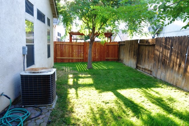 Sun and Shadows, Back Yard, Freshly Mowed, New Fence