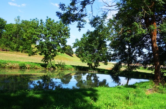 German Countryside, Jena, Germany, Long walk, pond