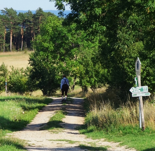 Lederhosen, Suspenders, Walk in the countryside