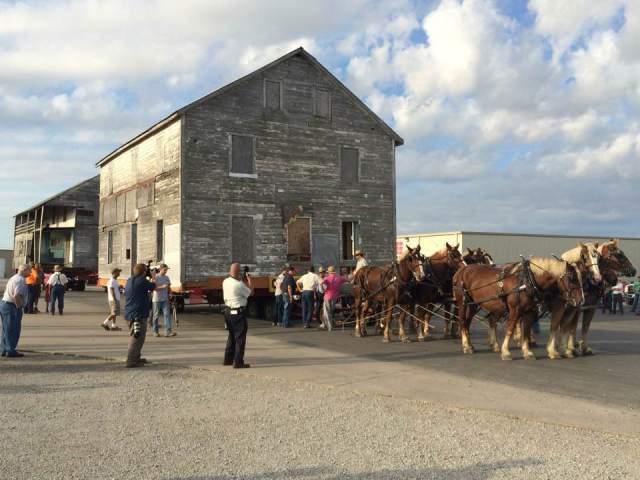Amish House, 8 horse hitch, Arthur Illinois, Tom Vance, Moving Amish House, Belgian Horses, Amish Horse, Tom Vance