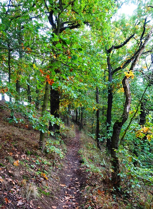 Half Marathon Hike, German Hills, hiking, trails, long hike, Jena, Germany