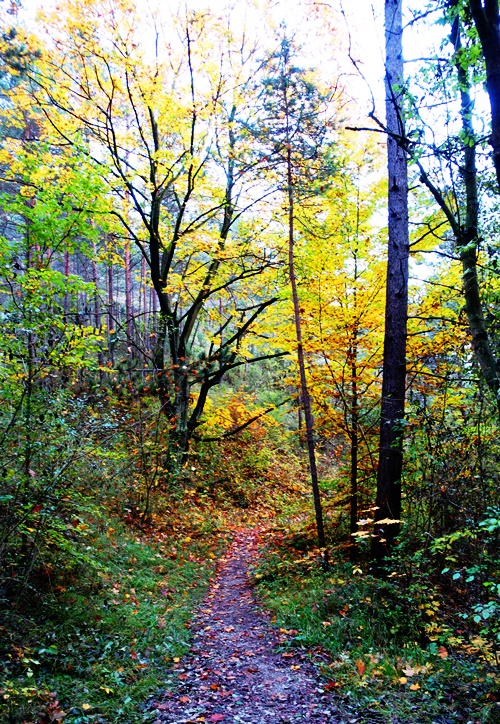 Half Marathon Hike, German Hills, hiking, trails, long hike, Jena, Germany