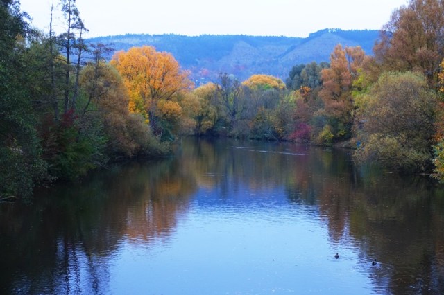 Saale River, Jena, Autumn, Colorful trees, dusk